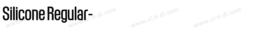Silicone Regular字体转换